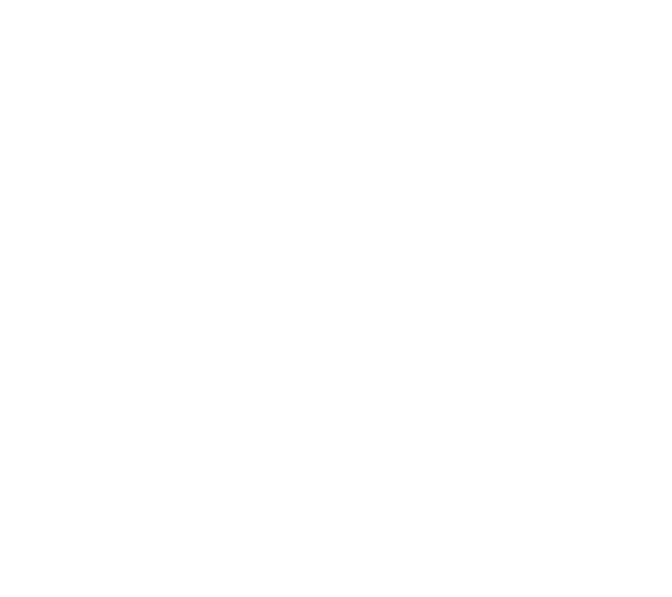 نانو برو العراق